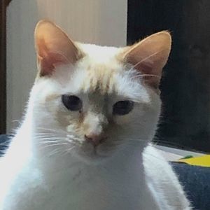 Meet your Posher, Kathy